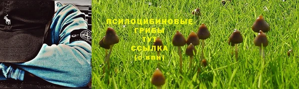 mix Абаза