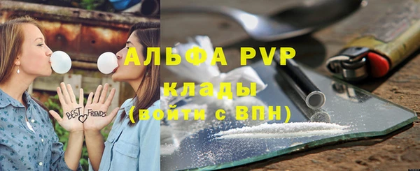 твердый Осташков