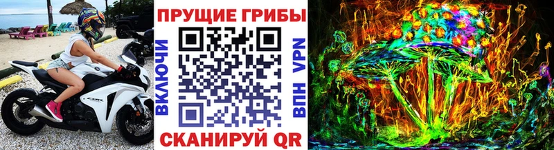 закладки  Кириллов  Псилоцибиновые грибы Magic Shrooms 
